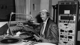 Wilt Spins